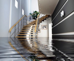 Water_Damage_Restoration